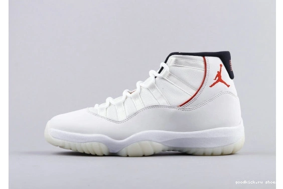 378038-016 Platinum Jordan (GS)  Retro Tint 378038-016 11 0515